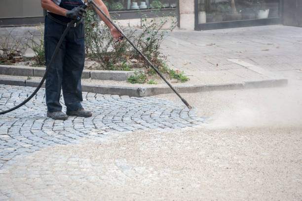 Best Pre-Holiday Cleaning  in Central Gardens, TX
