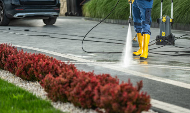 Best Residential Exterior Washing  in Central Gardens, TX